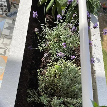 Family Apartament Koper