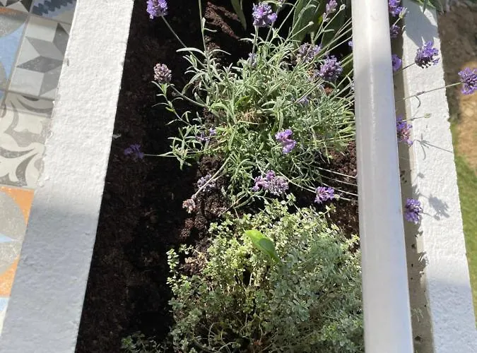 Family Appartement Koper